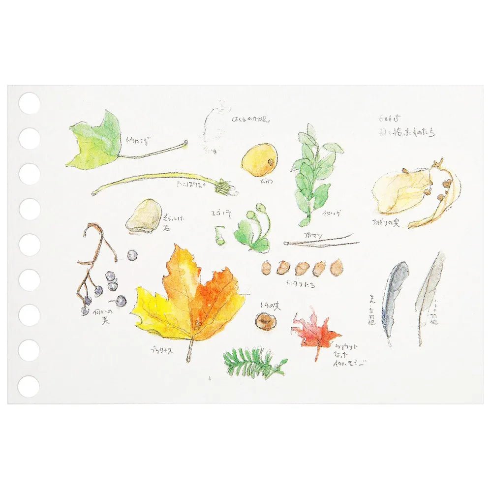 Maruman Write Easy Creative Mini Loose Leaf Notebook - Portable 50 Sheets for Journaling, Note Taking & Sketching - Perfect for Students, Office & Travel