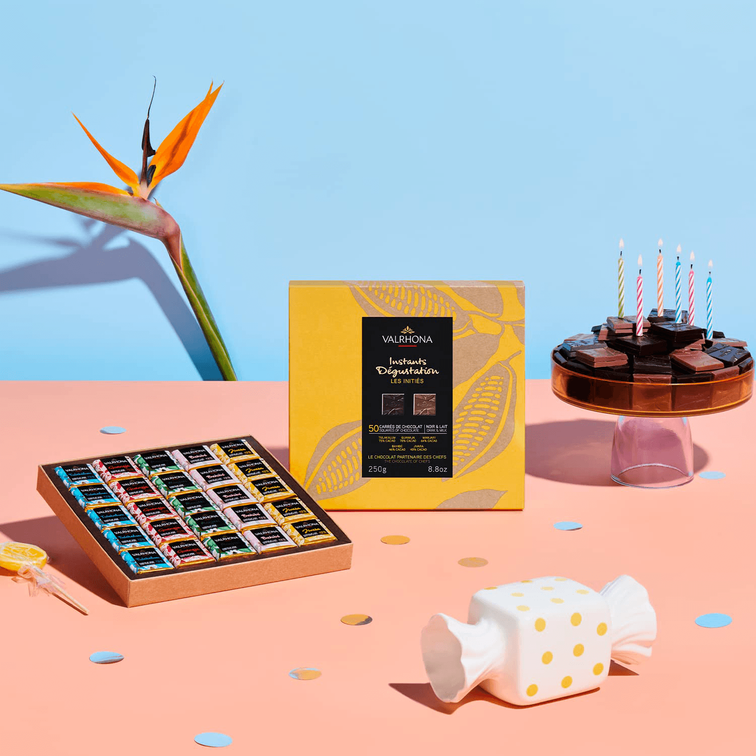 Valrhona Mini Chocolate Squares Gift Box - Assorted Flavors (50 Pieces) - Perfect for Gifts, Parties & Dessert Toppings