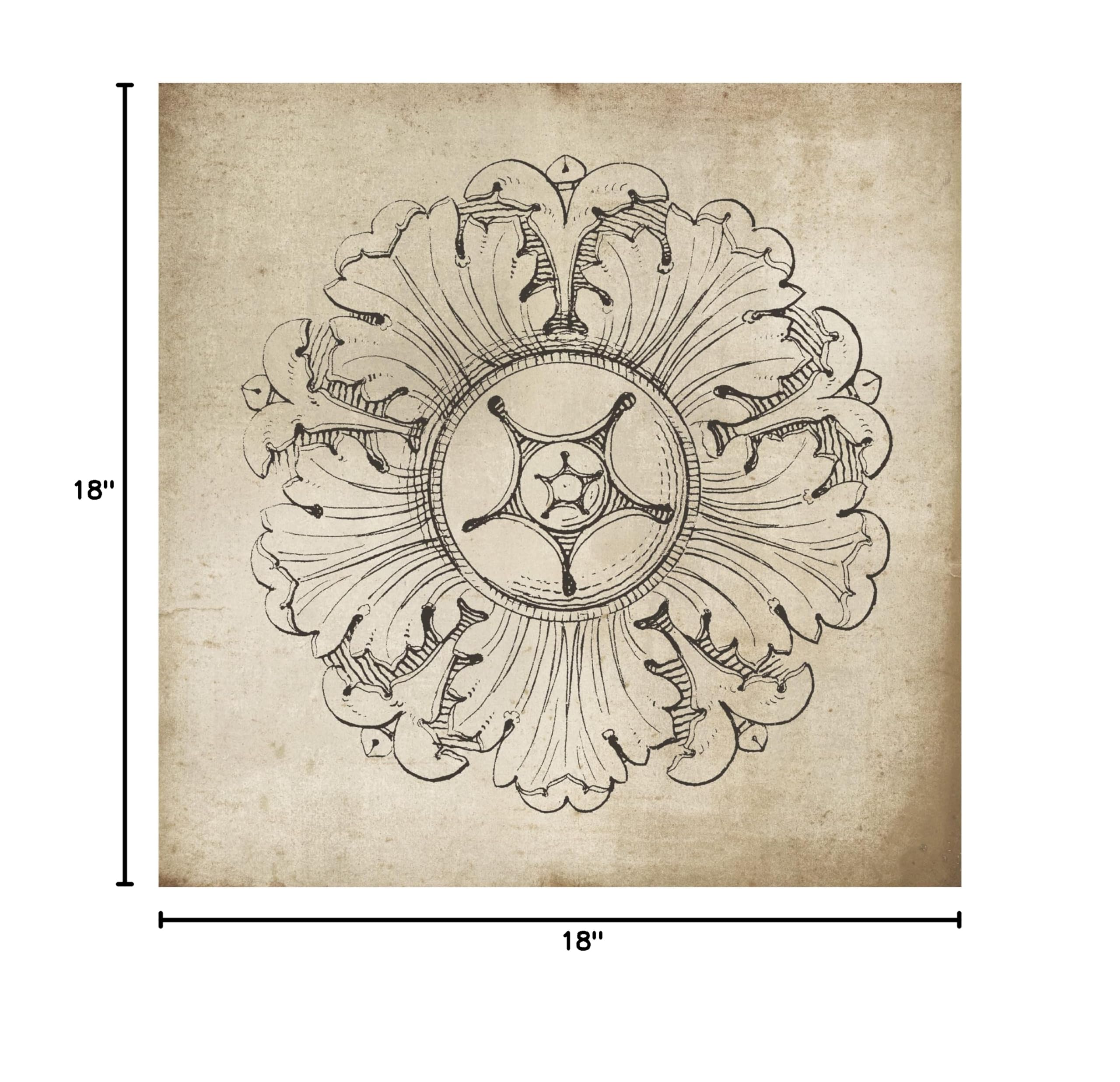 Trademark Fine Art 'Rosette VI Neutral' Canvas Wall Art by Wild Apple - Modern Abstract Painting for Living Room, Bedroom & Office Decor