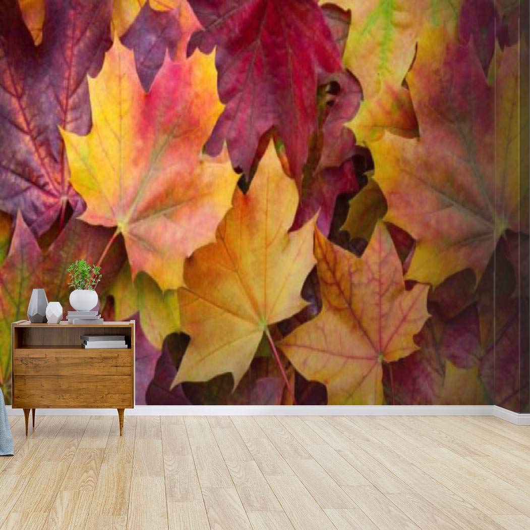 Peel and Stick Wallpaper - Large Self-Adhesive Vinyl Wall Mural with Vibrant Autumn Leaves Design | Removable Decal for Living Room, Bedroom & Home Decor