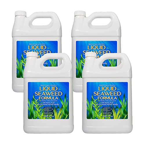 Organic Liquid Seaweed Fertilizer - Natural Kelp Plant Food with Humic & Fulvic Acids - Indoor/Outdoor Plant Growth Booster - Weather Stress Protection - 4 Gallon Bundle - Perfect for Gardens, Lawns, Houseplants & Hydroponics
