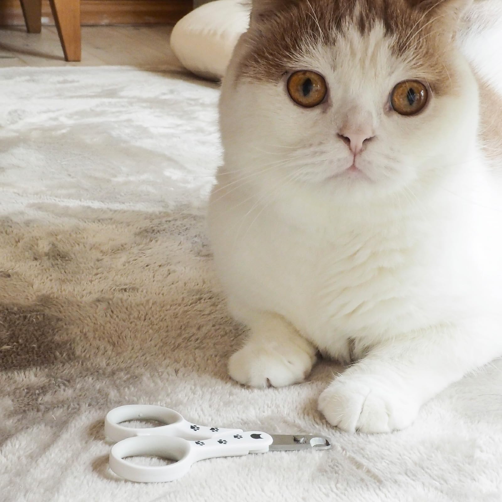 Necoichi Purrcision Feline Cat Nail Clippers - Stress-Free Grooming Tool, Expertly Crafted in Japan with 30% Thinner Blades for Neater, Easier & Safer Trimming | Japan's No.1 Cat Nail Clipper | Perfect for Home Grooming & Vet Visits