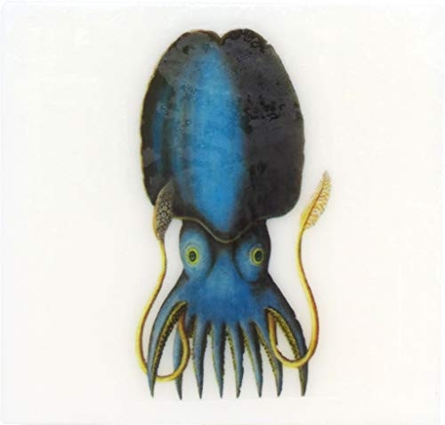 Vintage Ocean Creatures Scented Glycerin Soap - Faded Denim & Squid Fragrance, Handmade Artisan Soap for Bath, Shower & Gift Giving