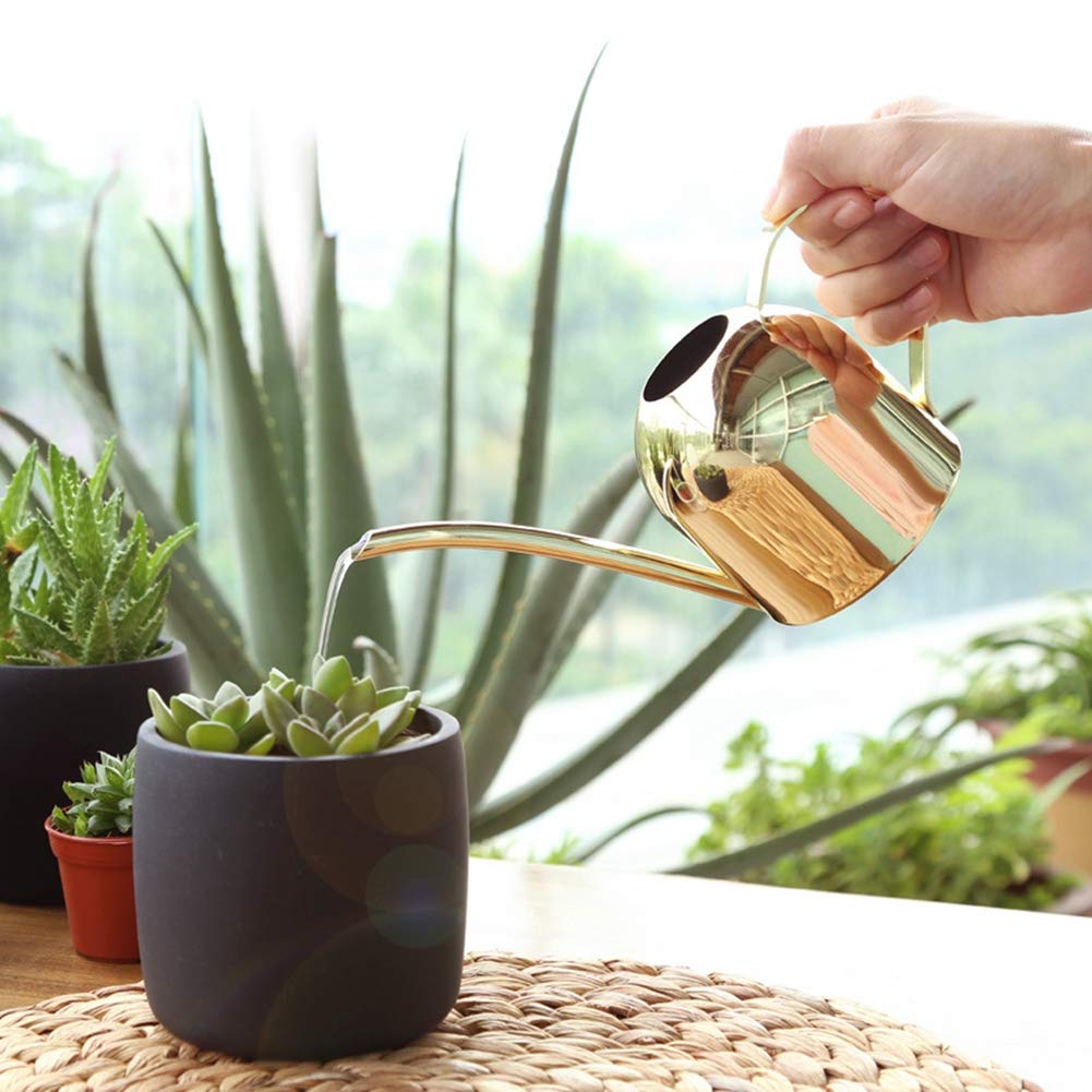 500ml Gold Flower Watering Pot - Durable & Easy to Use Gardening Watering Can for Indoor Plants, Outdoor Patio & Family Gardening | Perfect for Houseplants, Flowers & Small Gardens