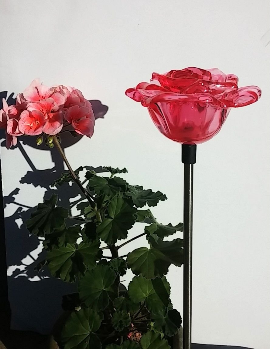 Solar Red Rose Light - Outdoor LED Garden Stake for Yard & Landscape Decor - Perfect Gift for Mother's Day, Valentine's Day & Home Decoration - Waterproof & Energy Efficient Solar Flower Light for Patio, Pathway & Backyard Lighting