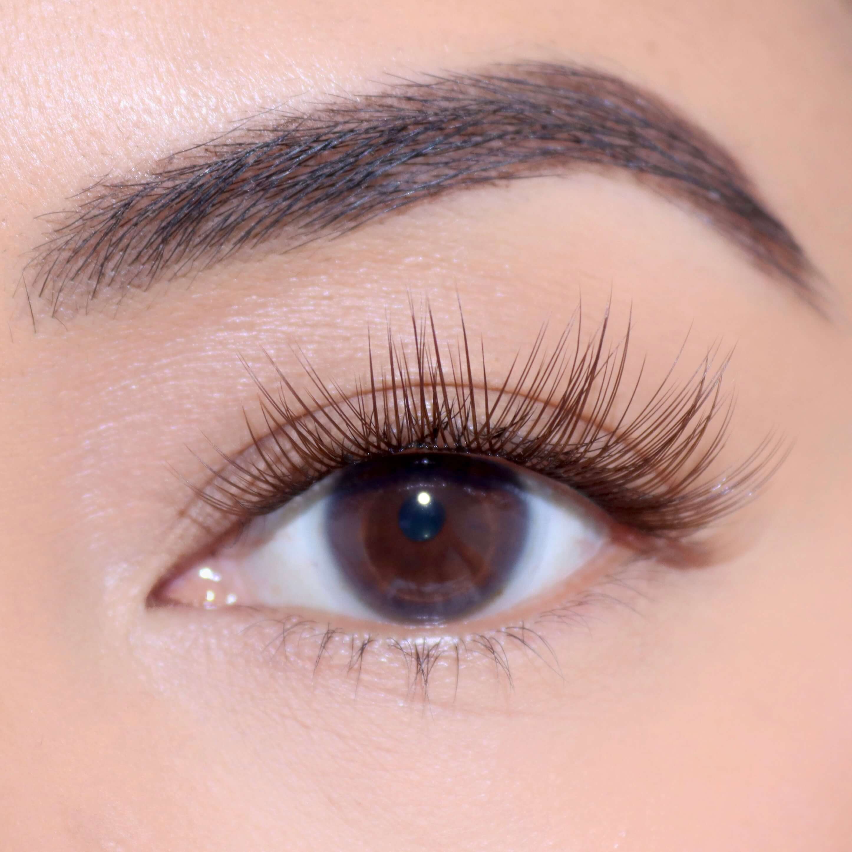 Professional Curated Eyelash Extension Kit - Natural & Dramatic Looks for Every Occasion | Perfect for Bridal, Party & Everyday Wear