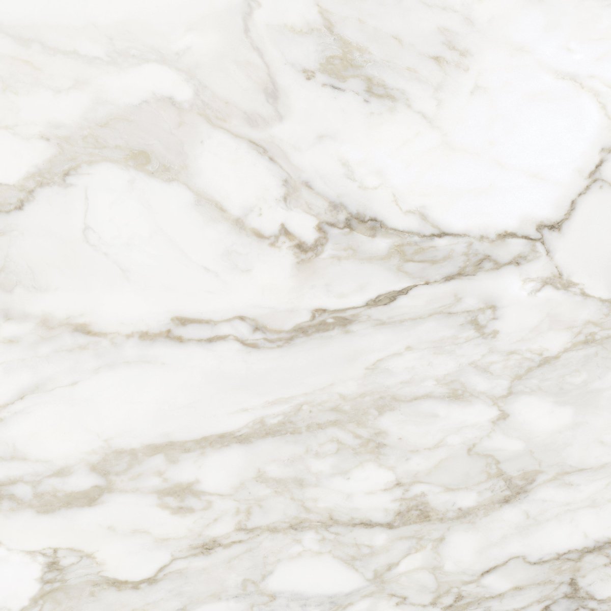 32 x 32 Inch Calacatta Paonazzo Polished Rectified Glazed Porcelain Wall Tile - Premium Kitchen Backsplash & Bathroom Flooring Solution