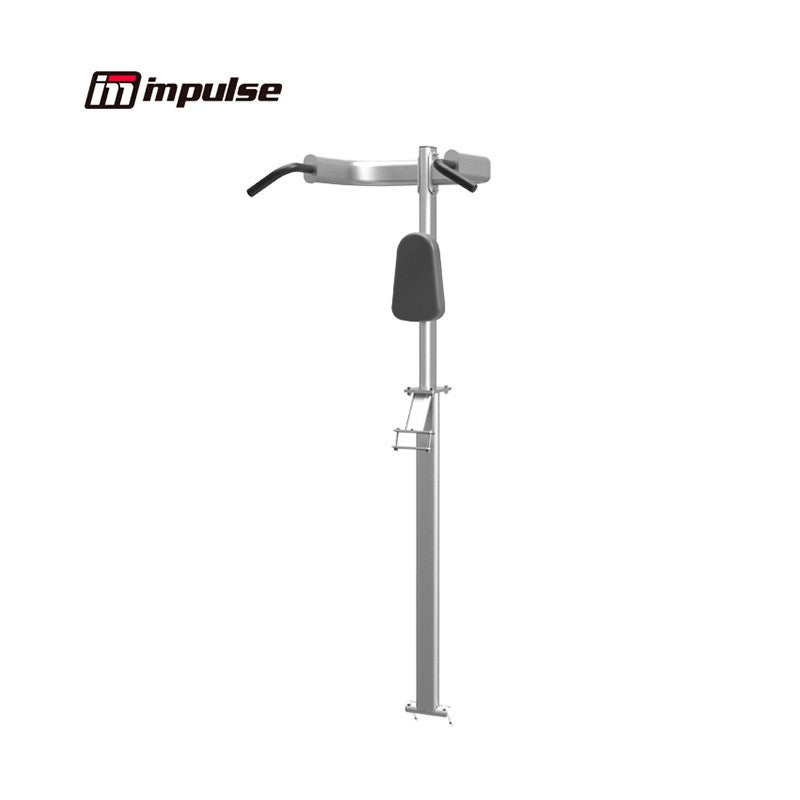 IT7010 Vertical Knee Raise with Chin Up and Dip Station - Home Gym Equipment for Core & Upper Body Workout - Perfect for Strength Training, Pull Ups, and Ab Exercises
