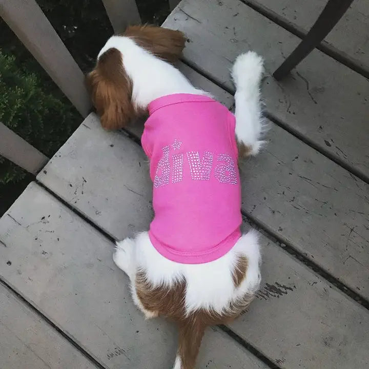 Diva Dog T-Shirt for Small & Medium Dogs - Cute Pet Apparel for Fashionable Pups - Perfect for Birthdays, Parties & Daily Walks