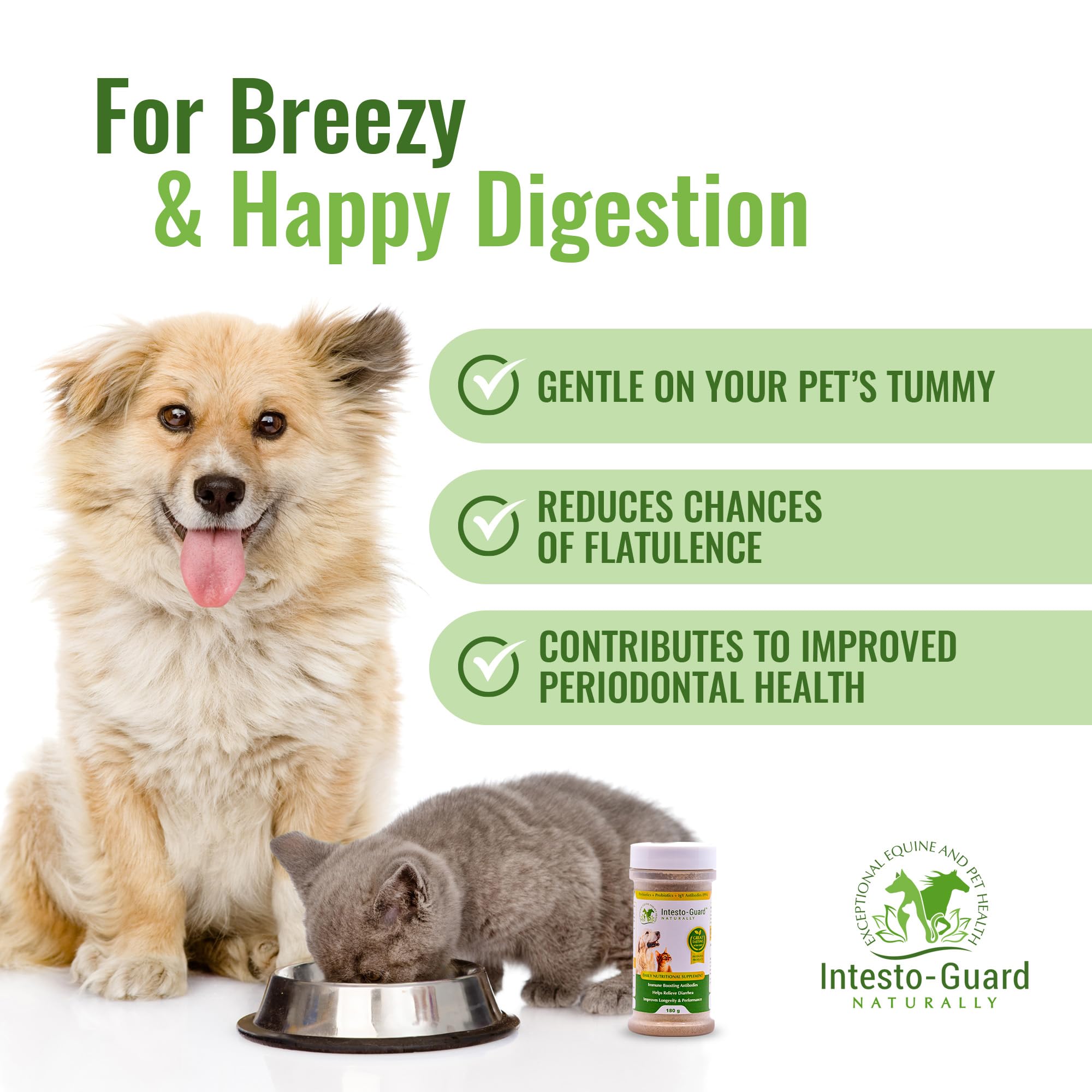 Premium Probiotic & Prebiotic Powder for Dogs & Cats - 180G All-Natural Digestive & Immune Support | Promotes Healthy Gut Flora & Nutrition | 90 Day Supply (6 Pack) - Ideal for Daily Pet Wellness & Digestive Health Maintenance