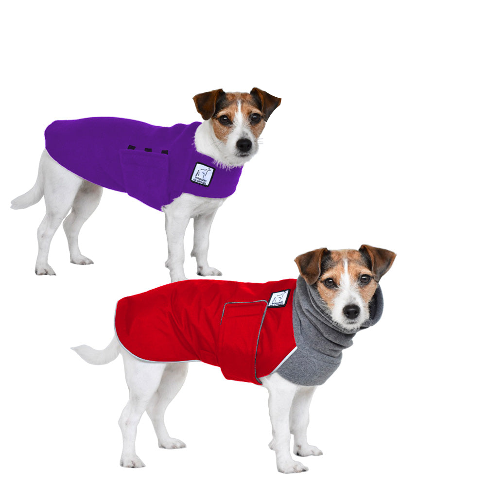 Jack Russell Terrier Rover Bundle - Premium Dog Accessories Set for Small Dogs | Perfect for Travel, Walks & Outdoor Adventures