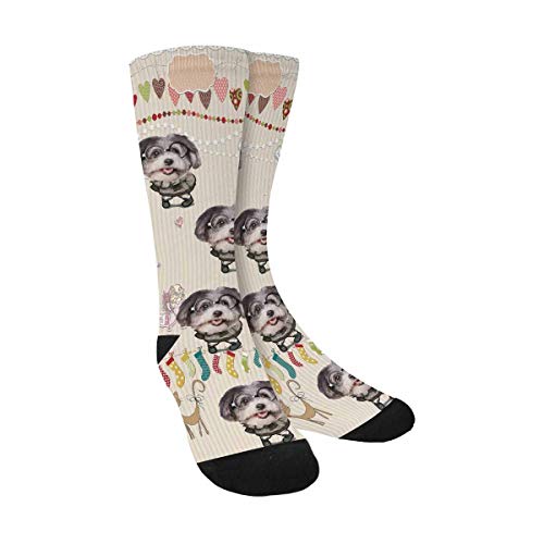 Colorful Socks
