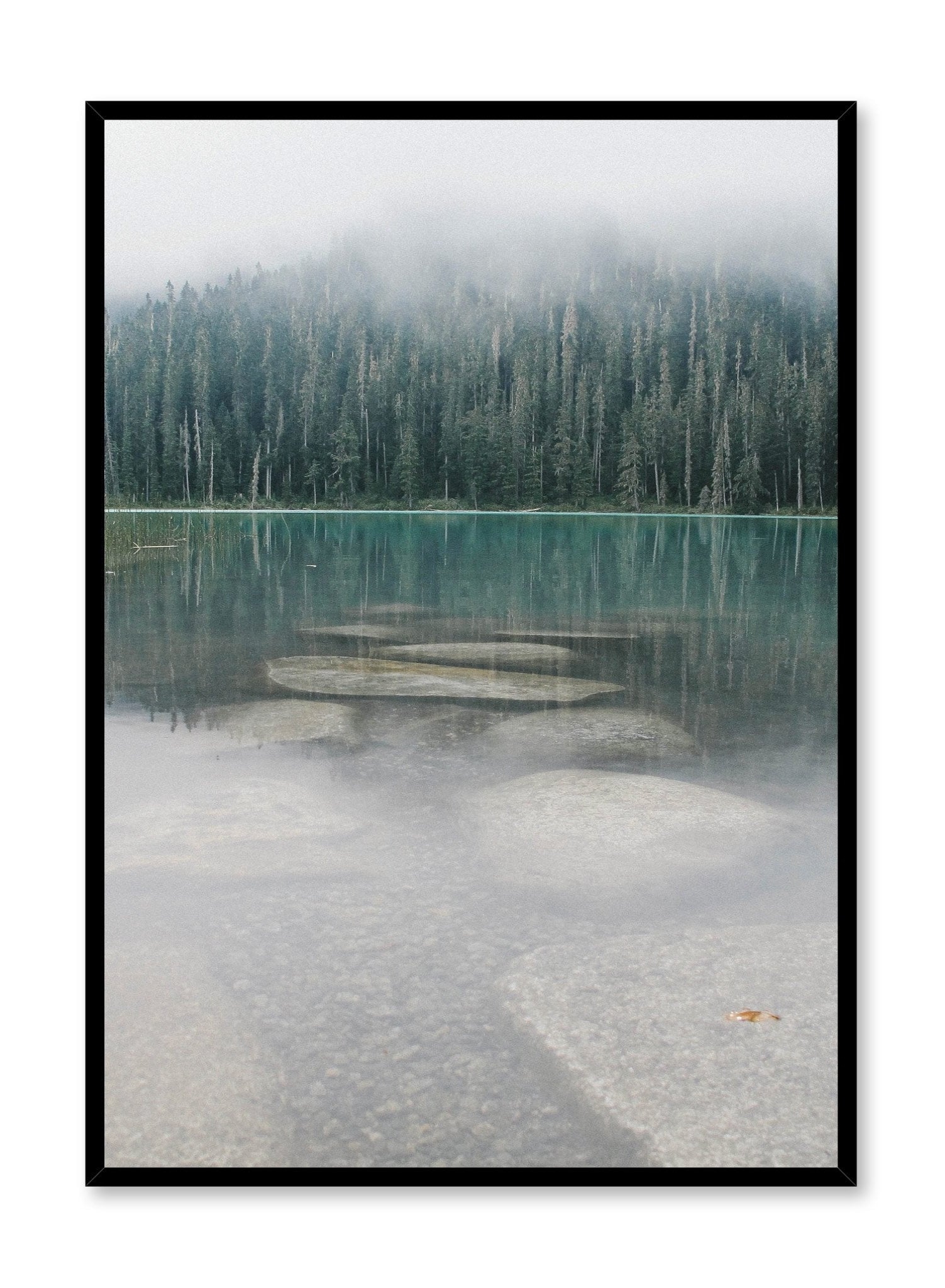High-Quality Mist Poster - Waterproof & Durable Wall Art for Home, Office & Classroom Decor | Perfect for Bedroom, Living Room & Gift Giving