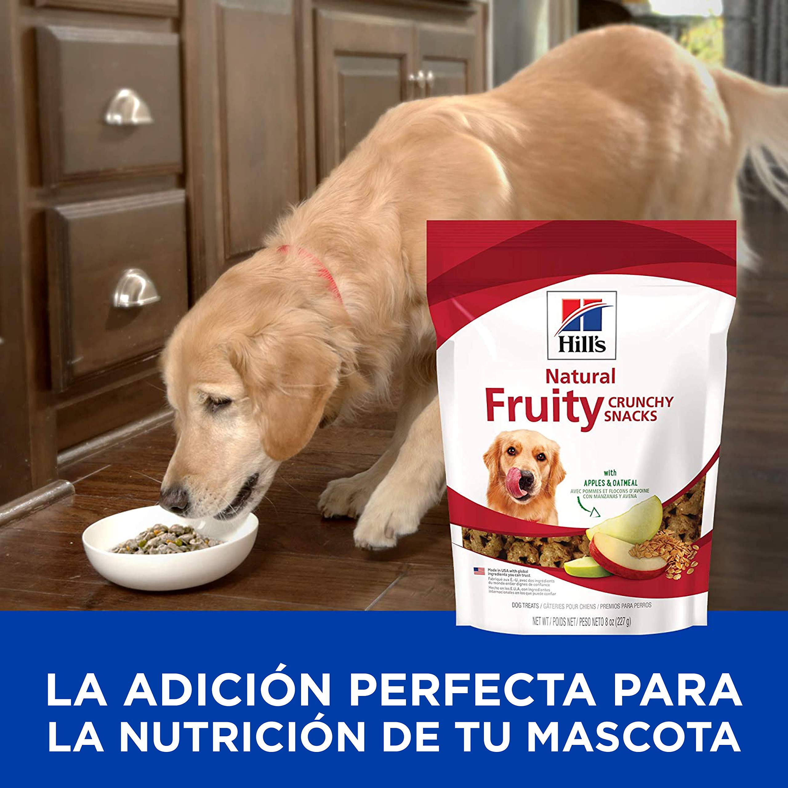 Hill's Natural Fruity Crunchy Dog Treats with Apples & Oatmeal - Healthy Snacks for All Life Stages, 8 oz Bag - Perfect for Training Rewards and On-the-Go Treats