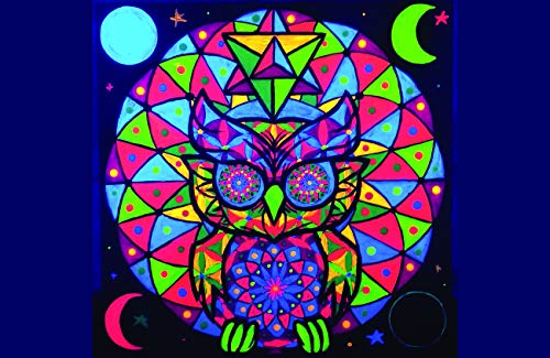 Goodnight Owl