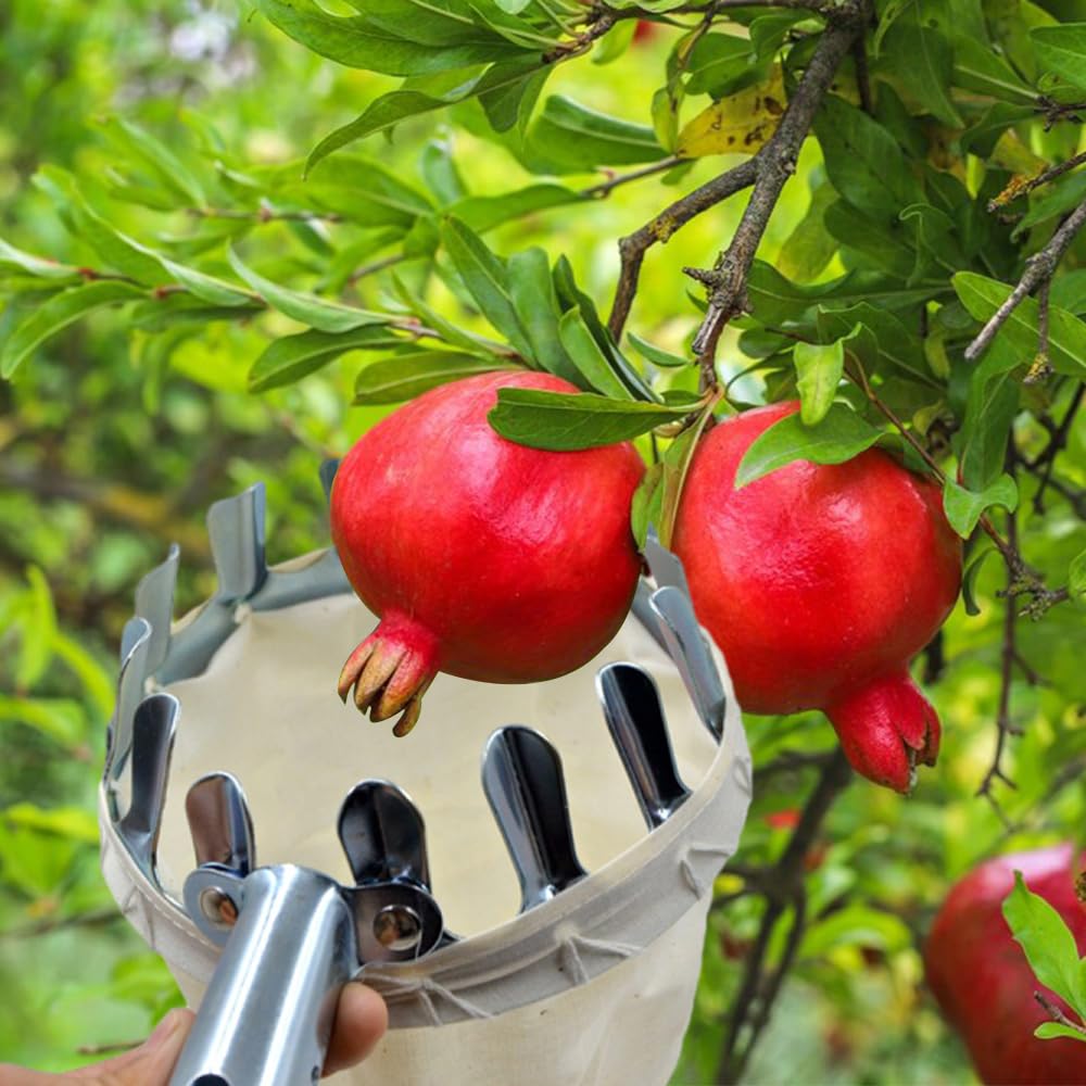 2024 New Portable Fruit Picker Head Basket - Garden Harvesting Tool for Berries, Pears, Peaches & Cranberries | Lightweight Fruit Picking Basket for Easy Harvesting in Orchards & Backyards