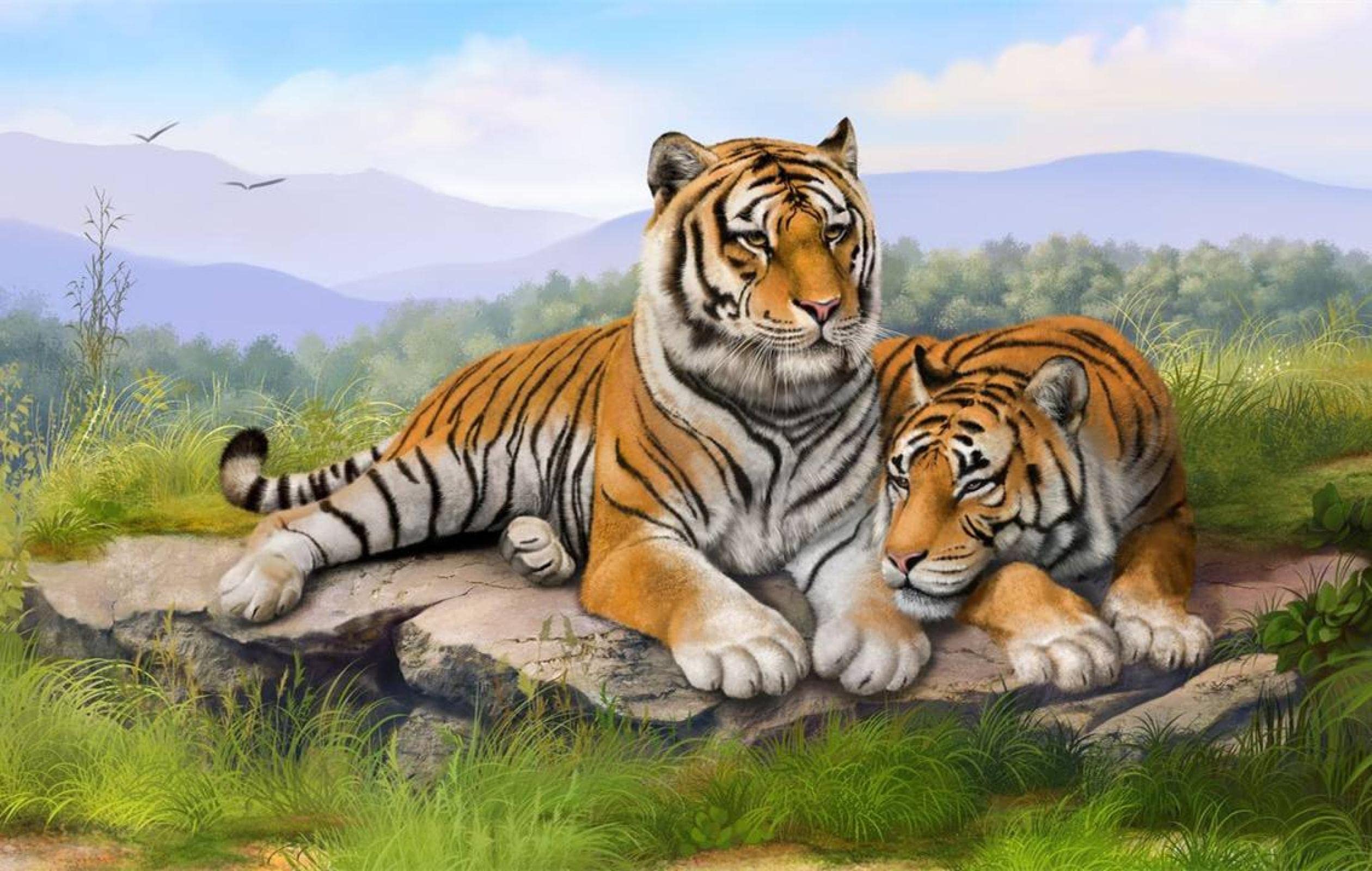 3000 Piece Wooden Jigsaw Puzzle - Majestic Tiger Wildlife Art for Adults & Families | Challenging Brain Teaser & Interactive Group Activity | Perfect for Stress Relief, Home Decor & Game Nights