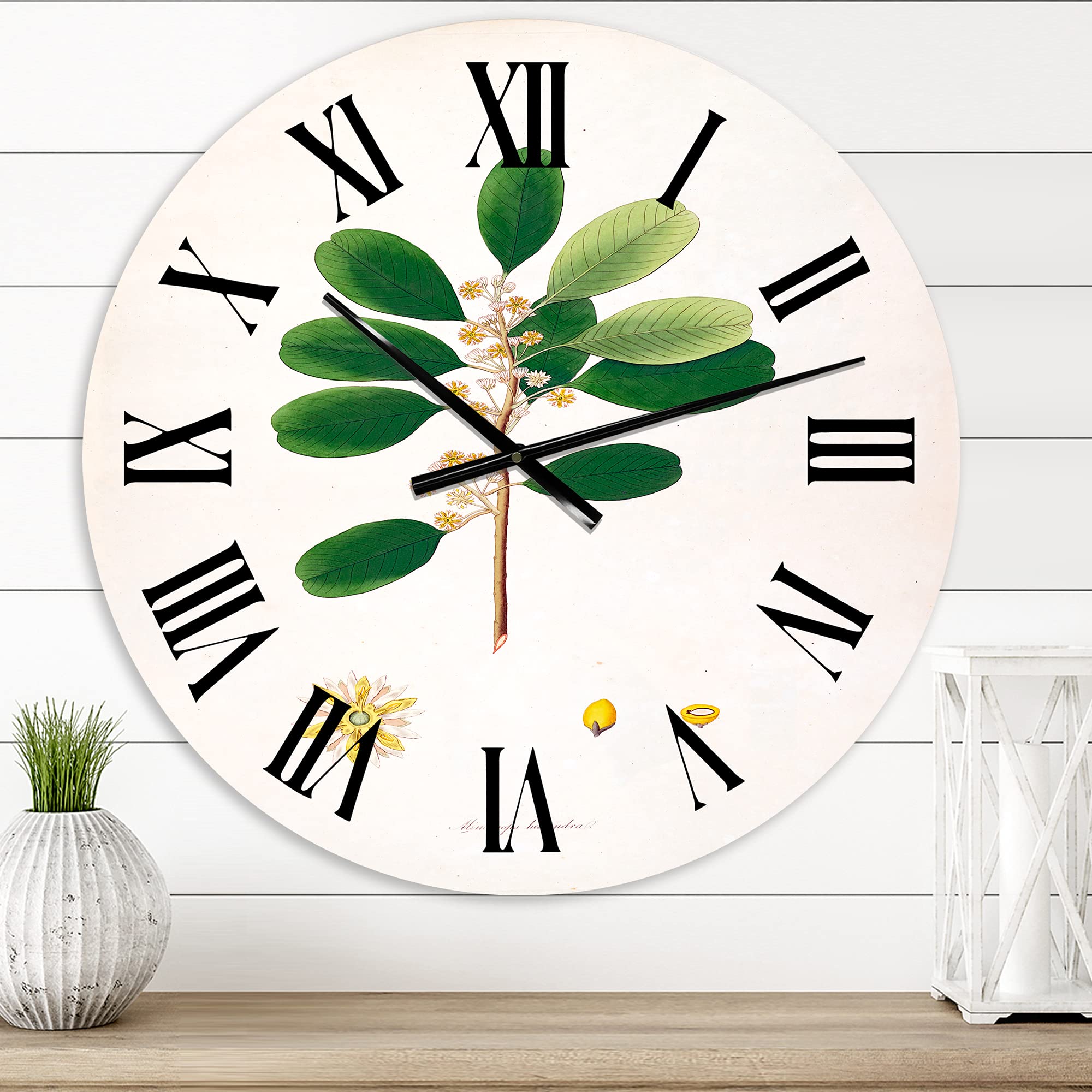 Vintage London Plants IX Farmhouse Wall Clock - Large Floral & Botanical Wall Decor for Kitchen, Living Room, Bedroom - Perfect Rustic Home Decor & Unique Gift Idea