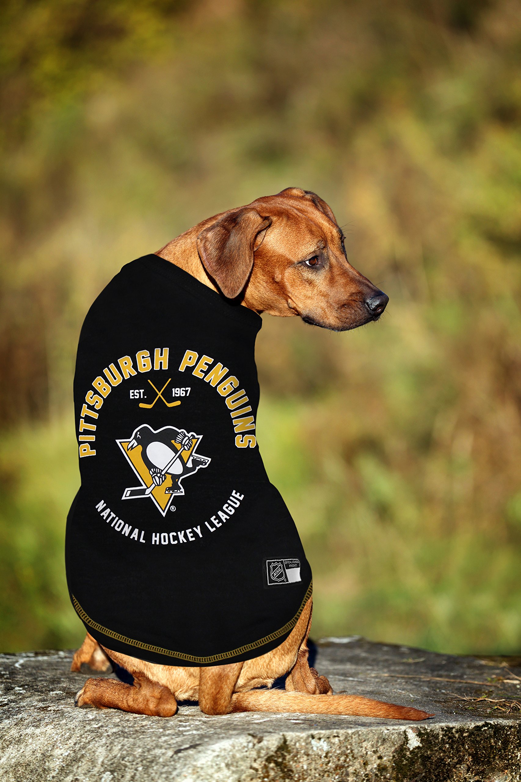 Pittsburgh Penguins NHL Pet Jersey for Dogs & Cats - X-Small Hockey Fan Outfit | Game Day, Team Spirit & Photo Shoot Costume