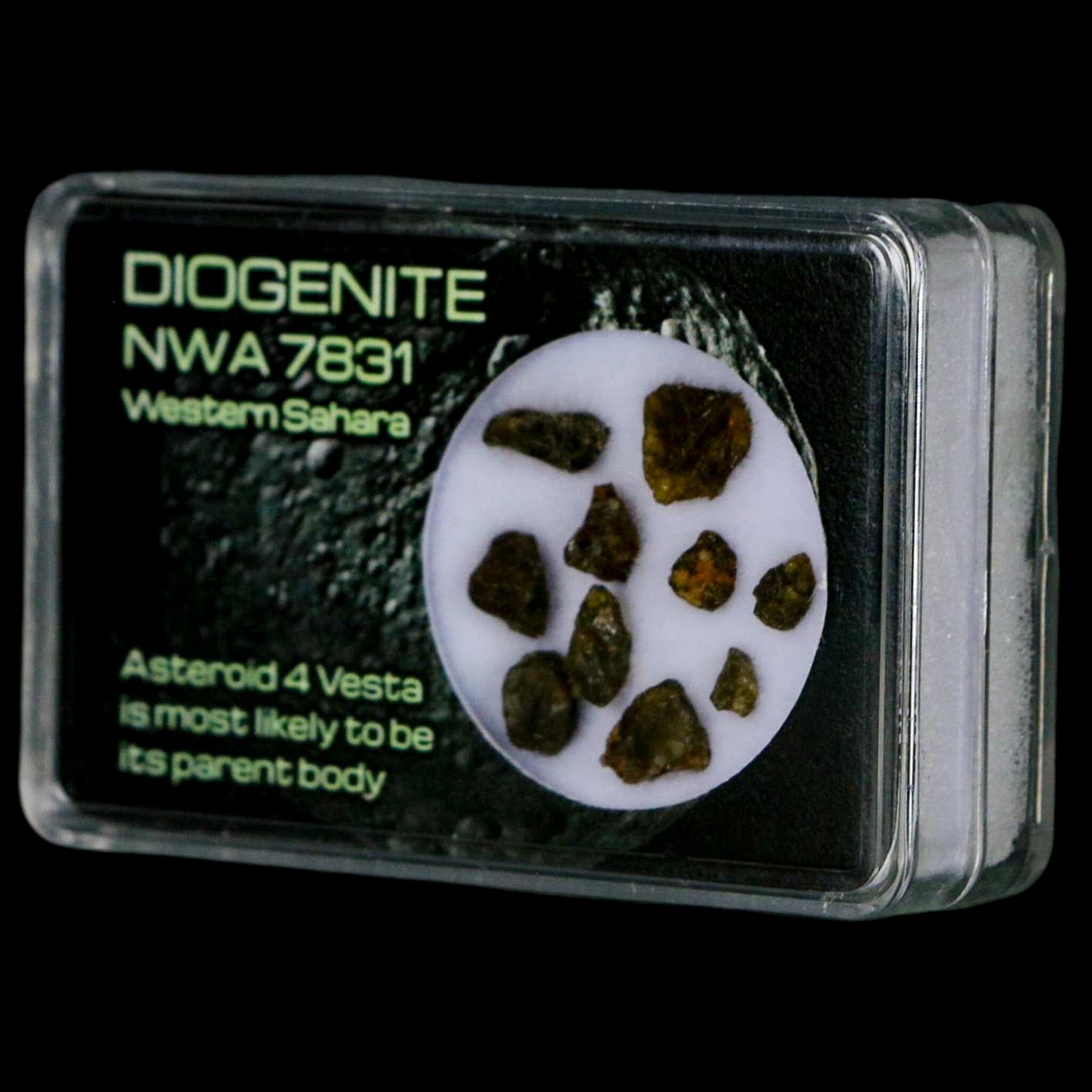 Authentic Diogenite Meteorite Specimen from Asteroid 4 Vesta - NMW 7831 Western Sahara | Rare Space Rock for Science Display, Collection & Education