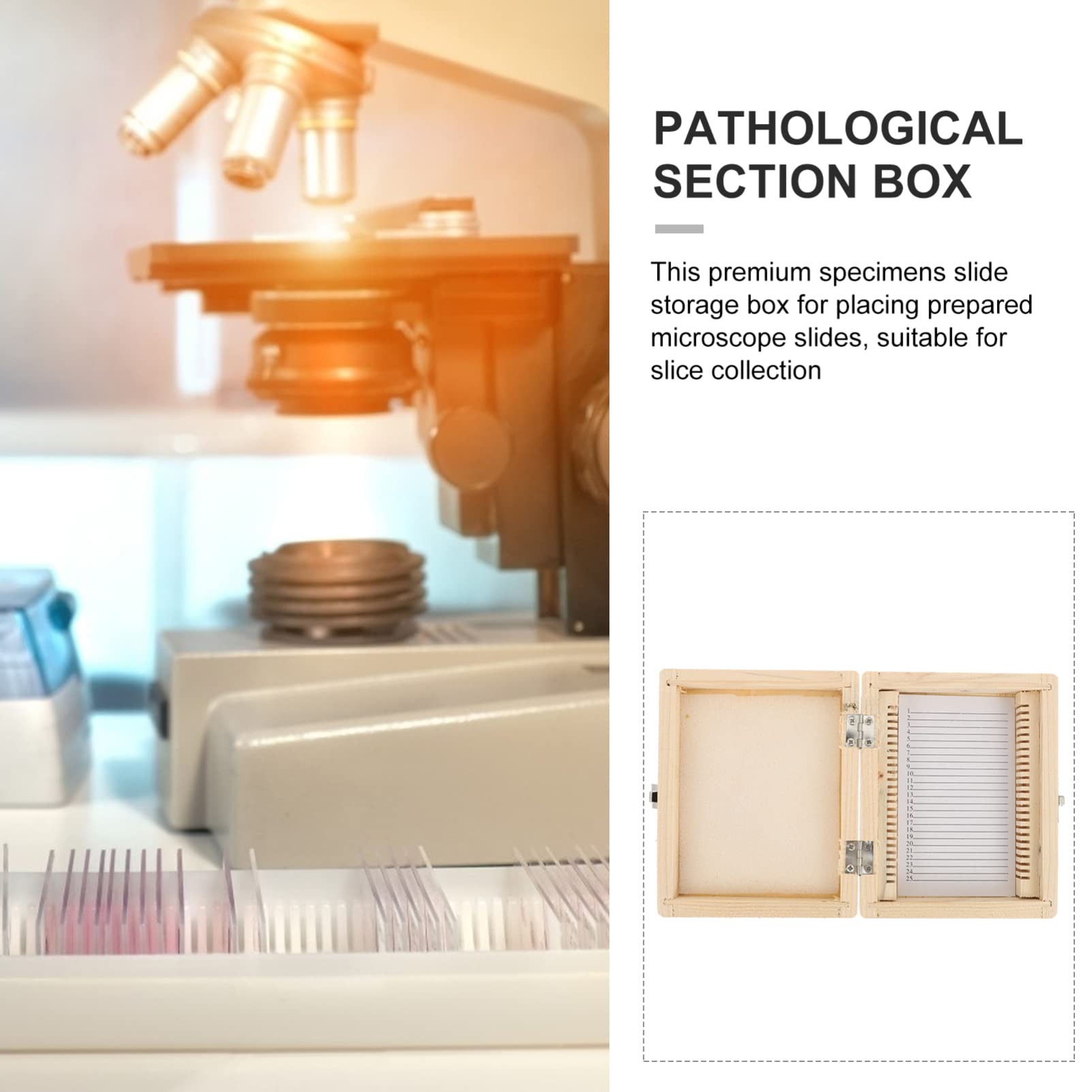 Orthodontic Braces Organizer & Microscope Slide Storage Box - 25 Slot Specimen Slide Holder for Dental & Lab Use | Perfect for Dentists, Orthodontists & Science Labs