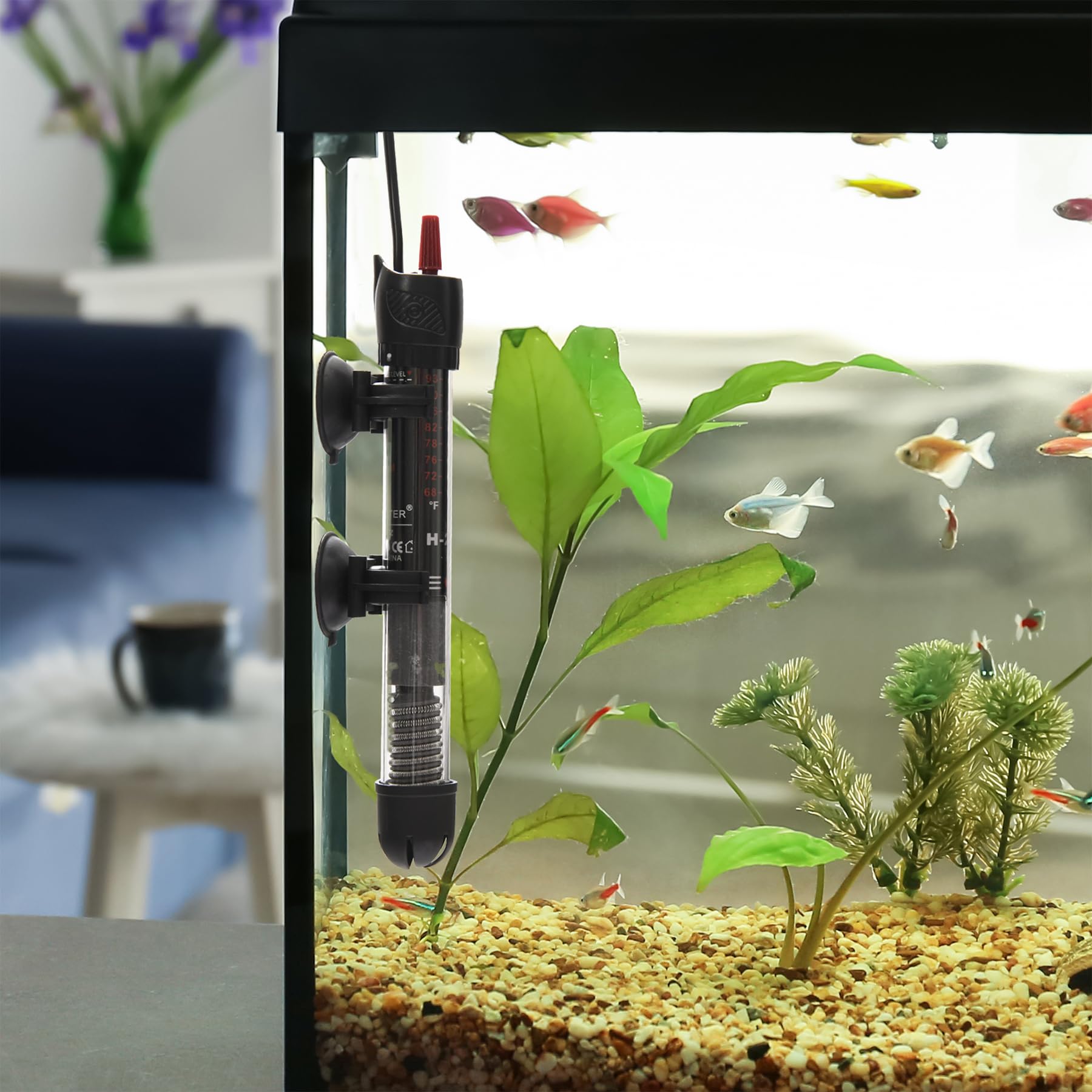 Abhirsh 100W Aquarium Heater - Adjustable Submersible Fish Tank Water Heater with Thermostat for 10-25 Gallon Tanks | Perfect for Tropical Fish, Betta Tanks & Marine Aquariums