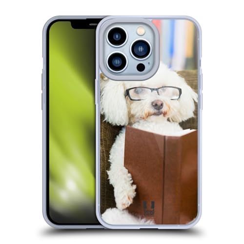 Reader Dog With Glasses