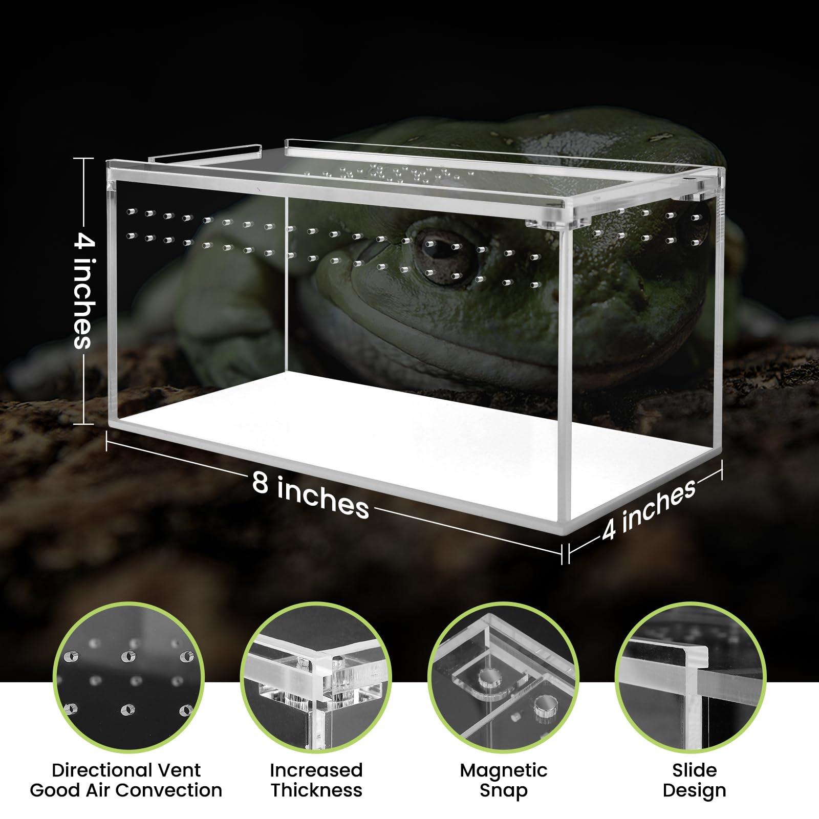 8x4x4 Inch Small Acrylic Tarantula Enclosure with Magnetic Lock - Thickened Terrarium for Isopods, Spiders, Reptiles & Lizards | Perfect for Juvenile Tarantula Habitat & Pet Display