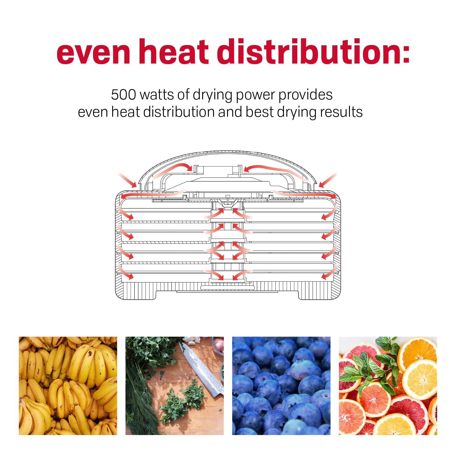 Nesco FD-60 Snackmaster Express Food Dehydrator - 4 Trays for Homemade Jerky, Dried Fruits & Healthy Snacks | 13.5