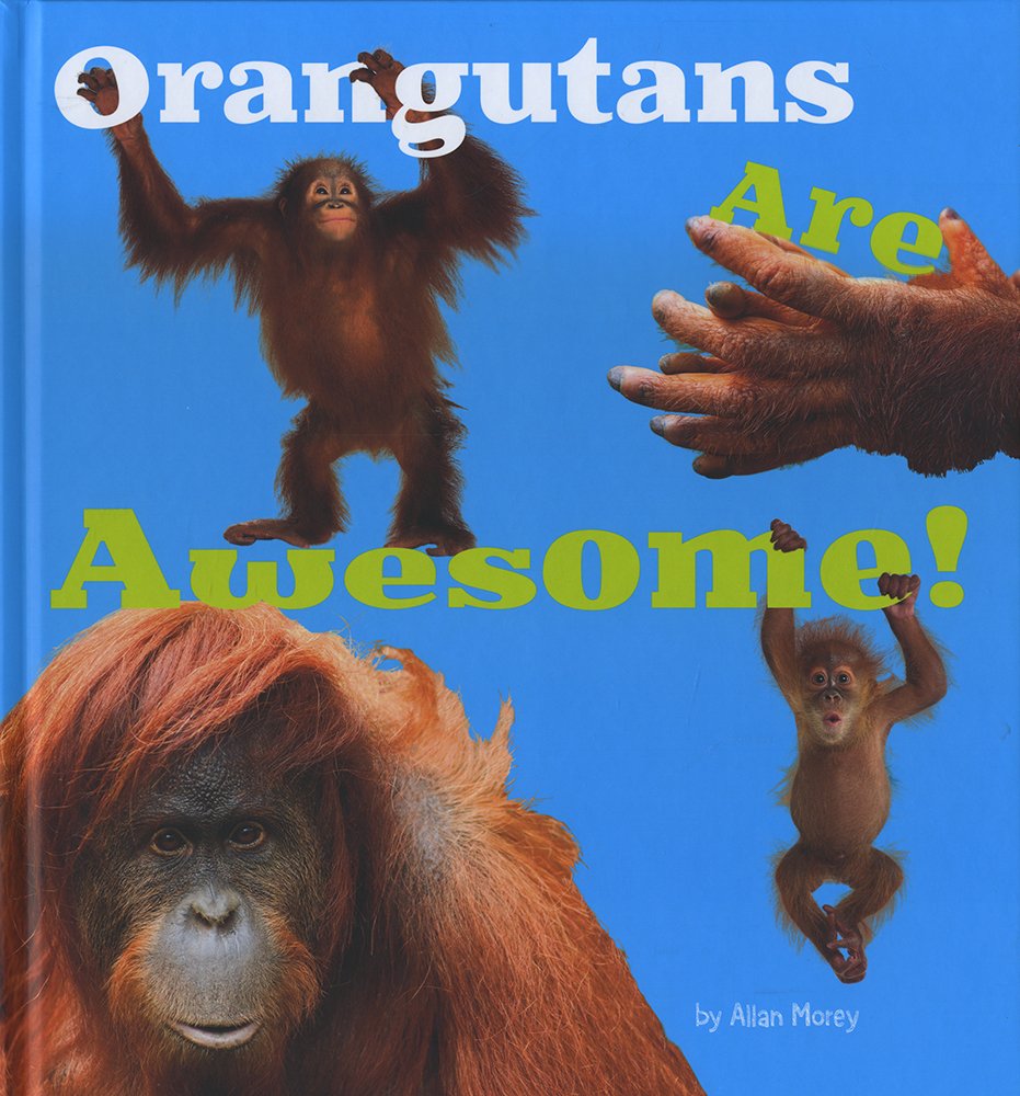 Orangutans Are Awesome! (A+ Books: Awesome Asian Animals) - Fun & Educational Wildlife Book for Kids, Perfect for Classroom Learning & Animal Lovers