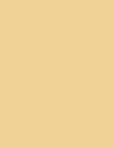 Medium Mesh - Nude