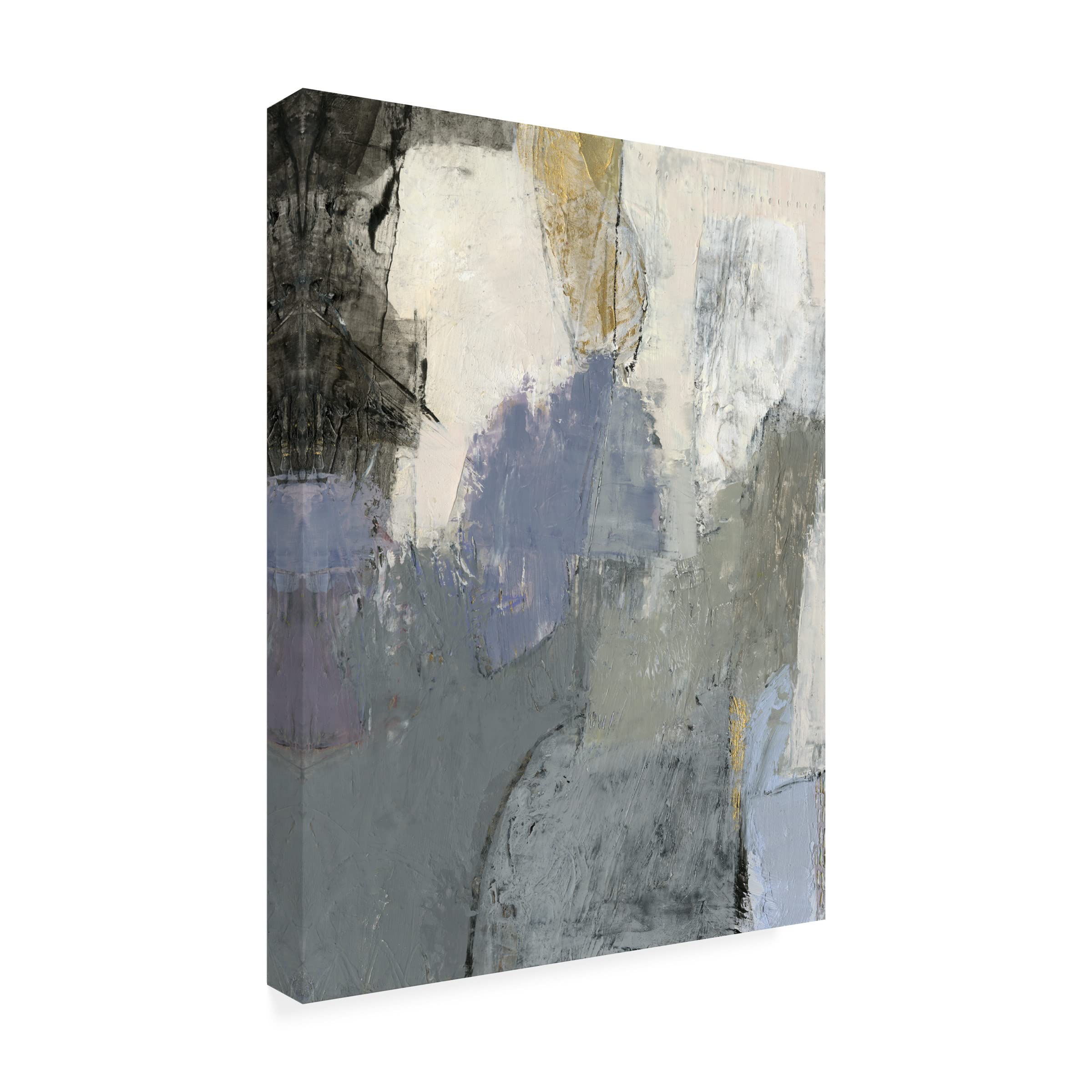 Sue Jachimiec 'A Go Go V' Canvas Wall Art Print - 24x32 Inches - Modern Abstract Painting for Living Room, Bedroom & Office Decor