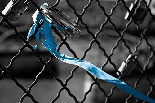 Paris In Love Pont Des Arts Padlock - 20x30 Inch Laminated Poster with Vibrant Colors & High-Quality Print - Perfect for Home Decor, Office Wall Art & Gift Giving
