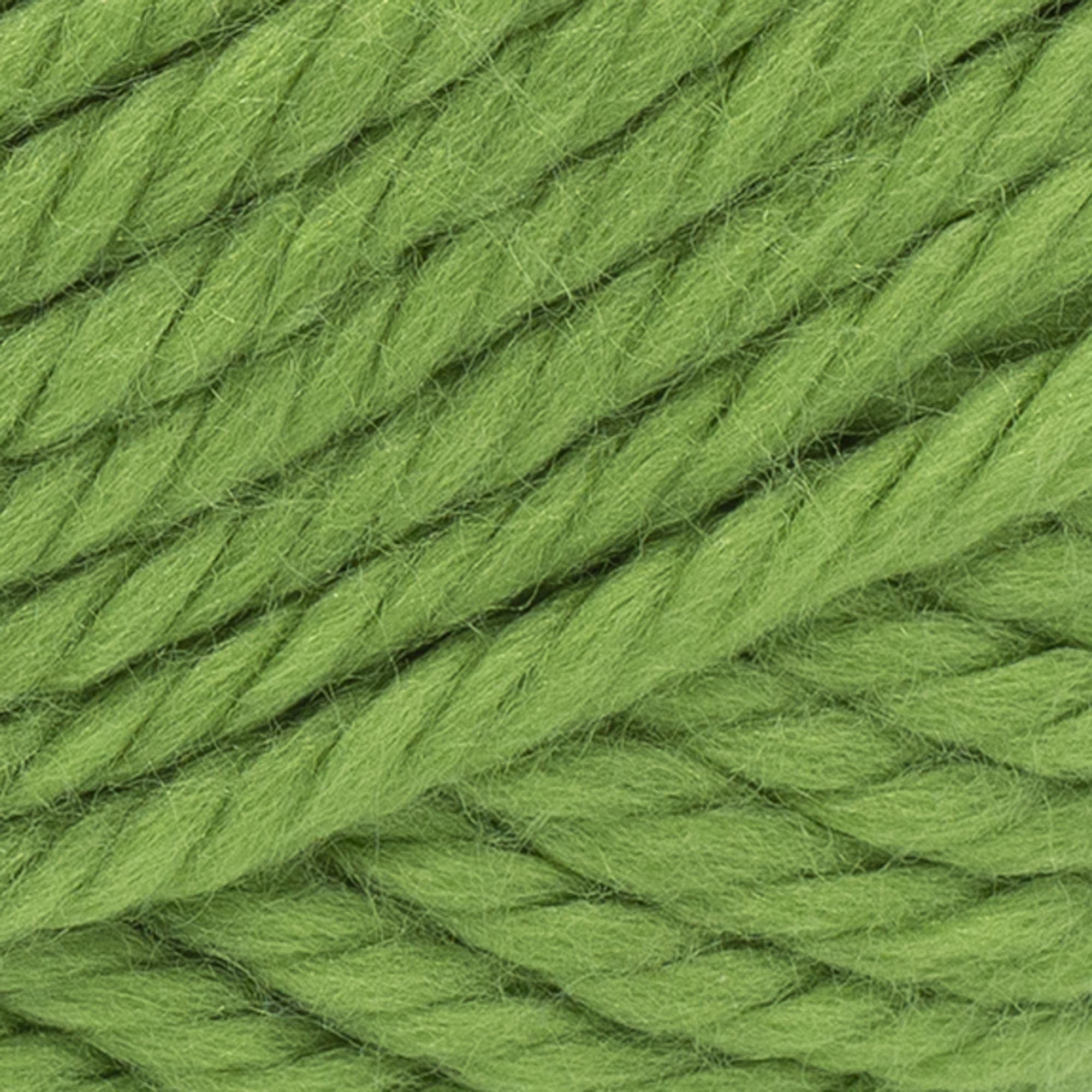 Lion Brand Hometown USA Yarn - Oklahoma City Green (2-Pack) | Soft & Durable Acrylic Yarn for Knitting, Crocheting, and DIY Crafts | Perfect for Scarves, Blankets, and Home Decor Projects