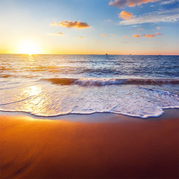 Beach Sand_03