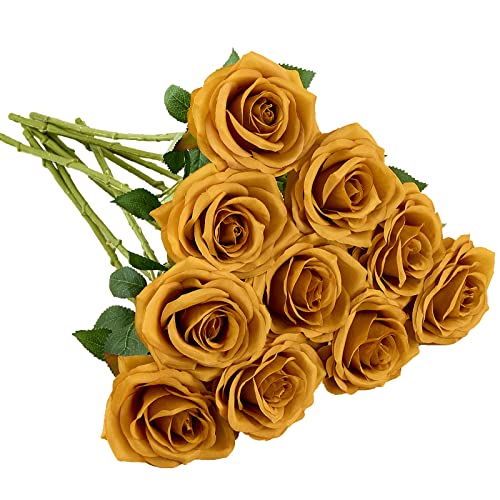 Mustard Yellow