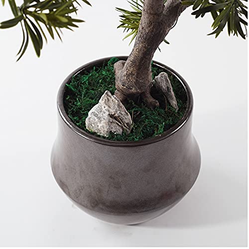 TOMYEUS Artificial Bonsai Tree - Fake Potted Plant in Ceramic Flowerpot, Realistic Tabletop Greenery for Home & Office Decor - Perfect for Living Room, Study, Desk & Shelf Decoration