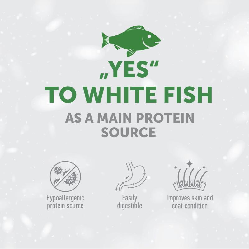 Premium Digestive Support Dog Treats with White Fish & Rice - Healthy Snacks for Adult Dogs - Ideal for Training, Rewards & Digestive Health