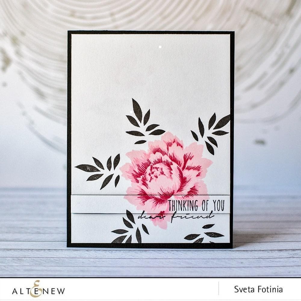 Fresh Peony Bouquet - Beautiful Pink & White Peonies for Weddings, Anniversaries & Home Decor