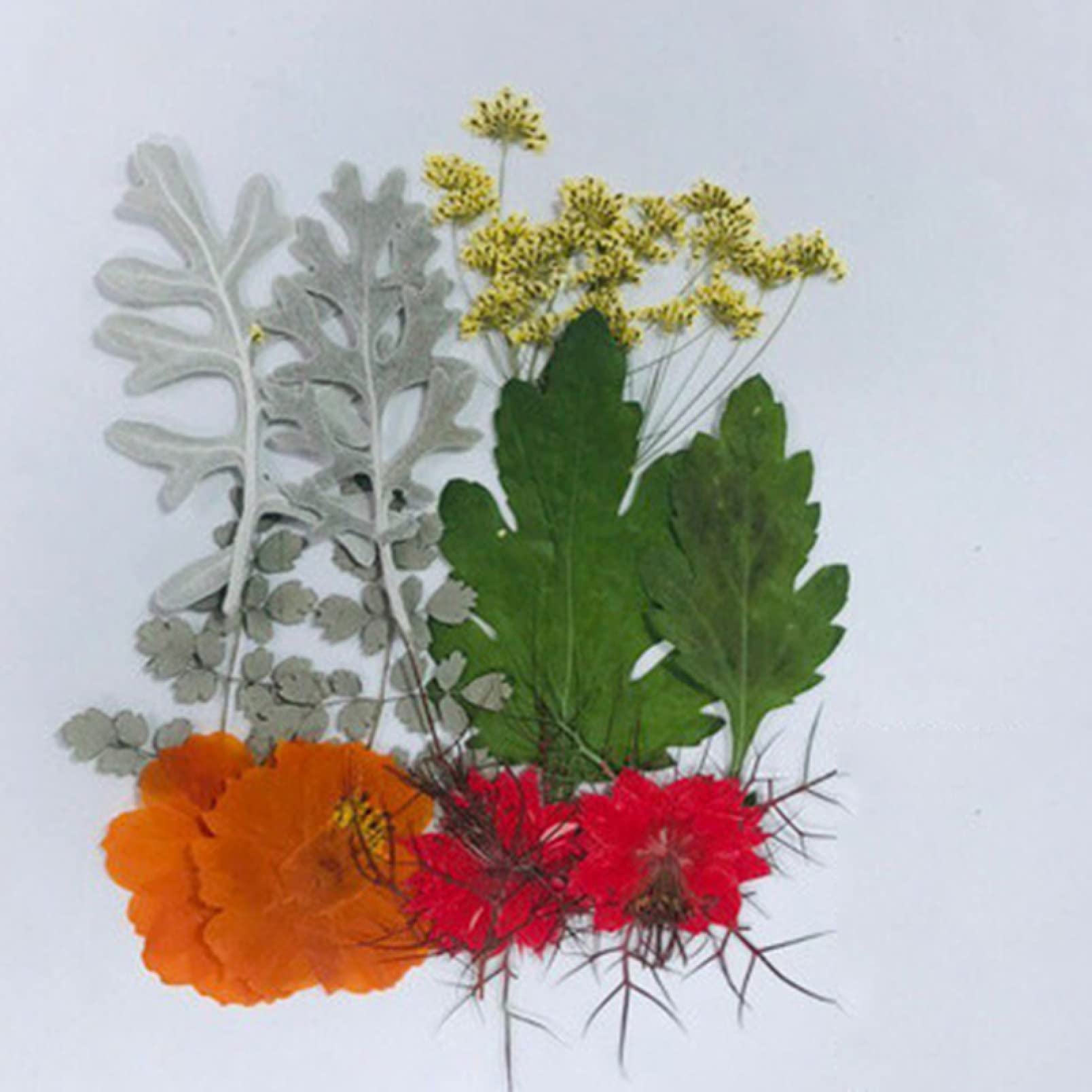 Pressed Flower Mixed Dried Flowers for Aromatherapy Candles, Greeting Cards, Epoxy Resin Crafts & DIY Jewelry Making - Perfect for Home Decor, Wedding Favors and Gift Wrapping