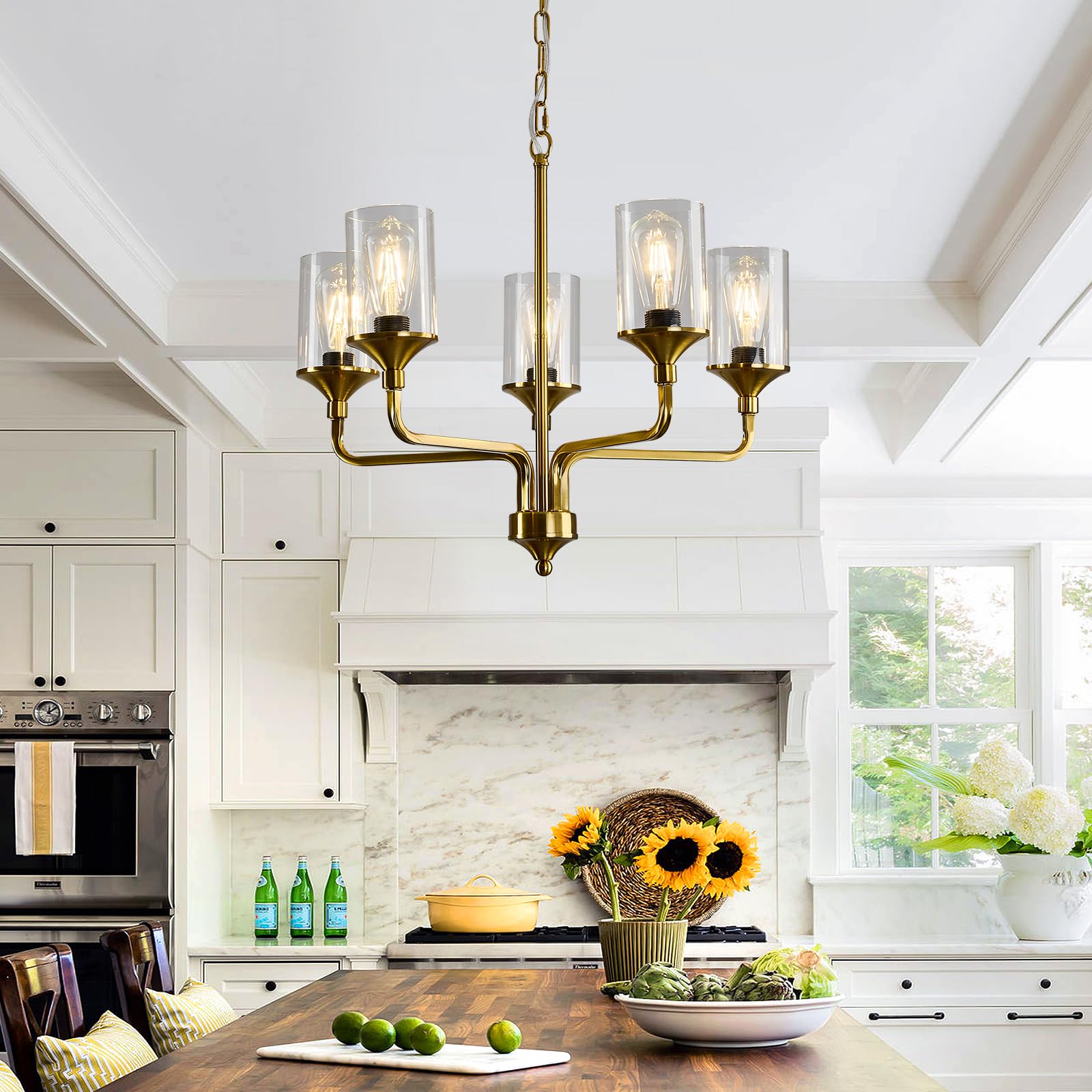 Gold 5-Lights Glass Chandelier - Rustic Metal Pendant Ceiling Light Fixture for Farmhouse, Kitchen, Living Room, Foyer & Dining Room | Elegant Lighting for Home Decor & Special Occasions
