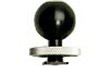 Ikelite 1.25 Inch Ball Mount with Nikonos Shoe Adapter for Underwater Camera Housing - Perfect for Scuba Diving and Marine Photography