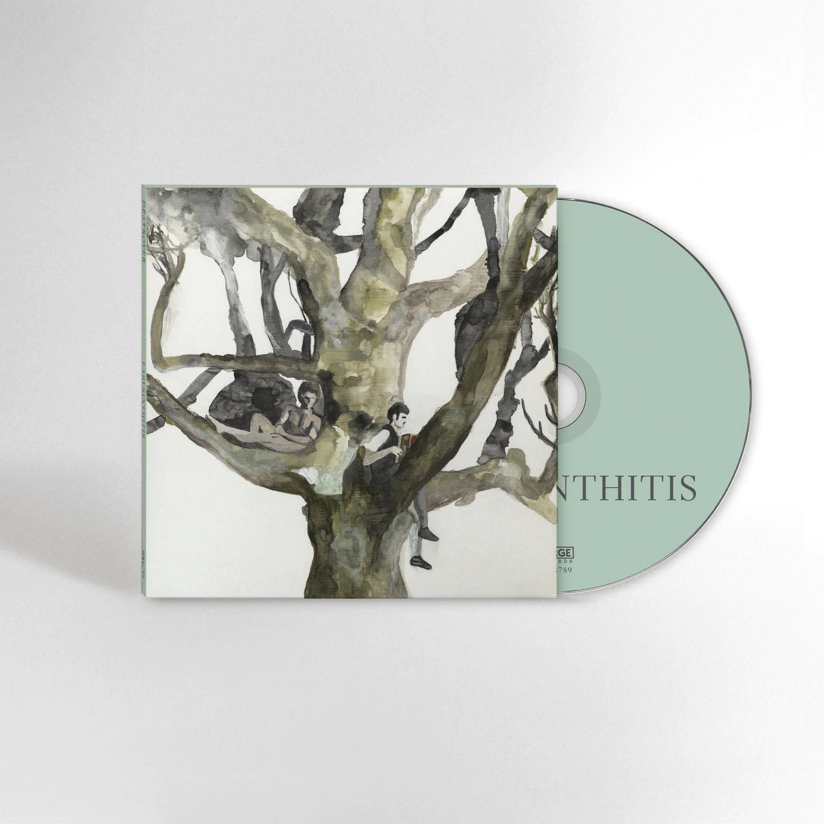 Destroyer Labyrinthitis Vinyl Record - Limited Edition Indie Rock Album for Music Collectors & Audiophiles | Perfect for Home Listening & Gift Giving