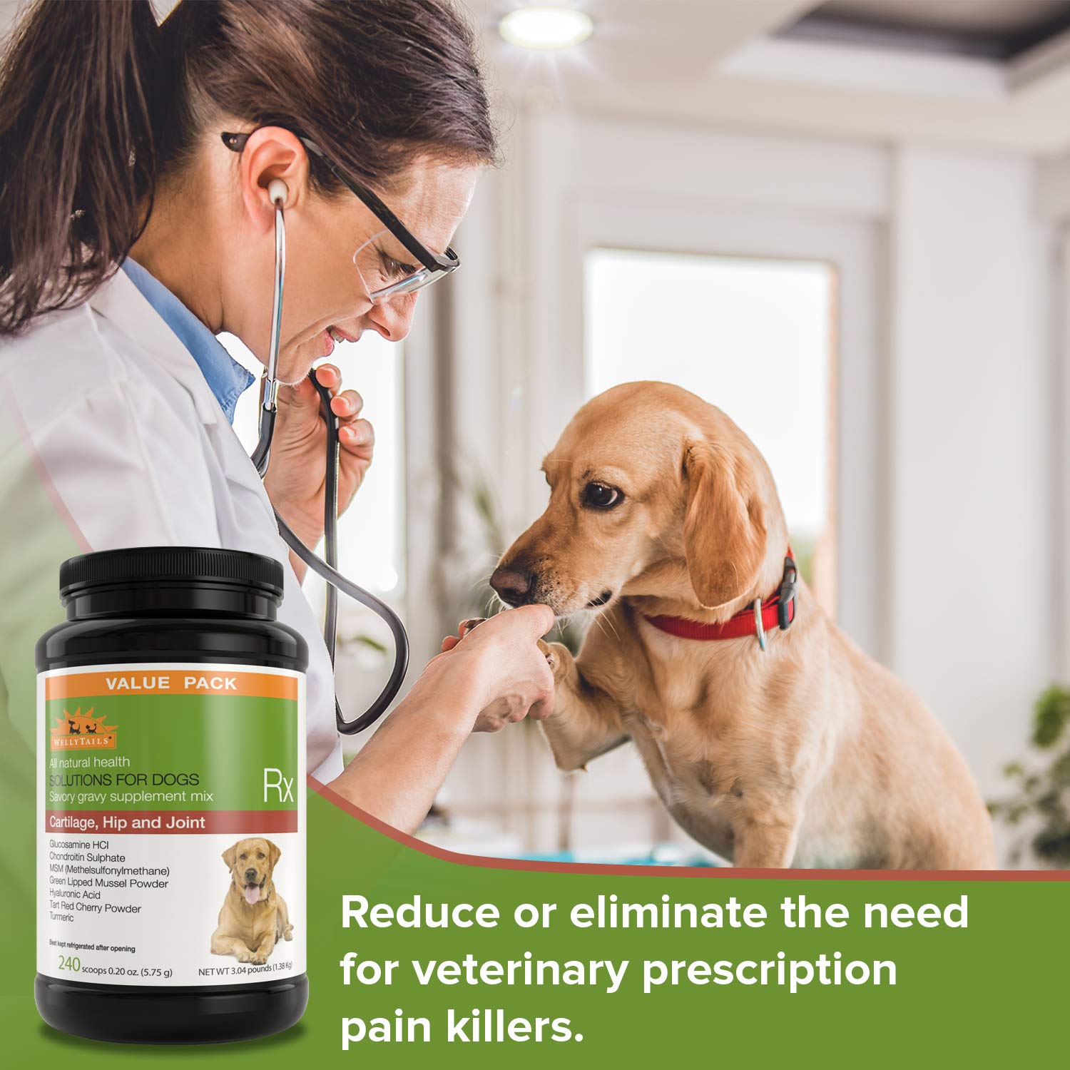 Premium Glucosamine Chondroitin MSM & Turmeric Joint Supplement for Large Dogs - 48.8oz (240 Scoops) - Supports Hip & Joint Health for Senior & Active Dogs - Ideal for Mobility & Arthritis Relief
