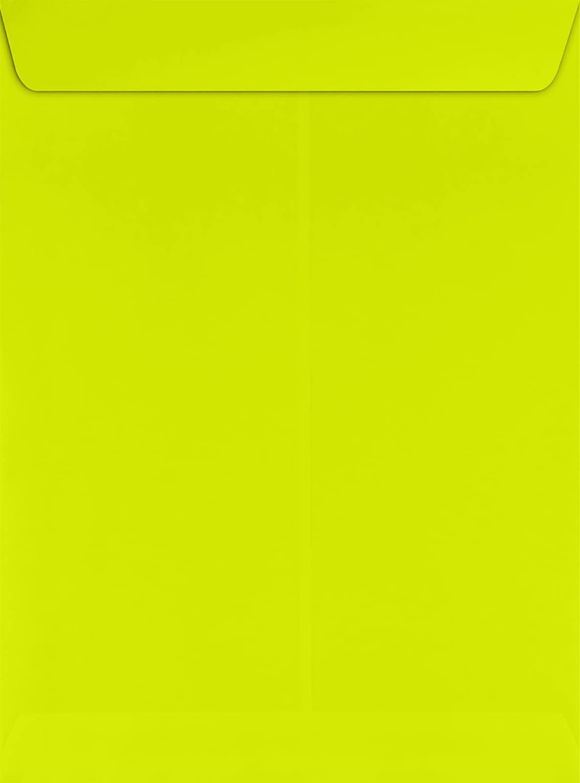 LUXPaper 9 x 12 Open End Peel & Press Envelopes - Wasabi Green, 80lb Text Weight (Pack of 1,000) for Business Mailings, Wedding Invitations & Office Correspondence