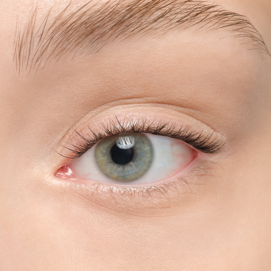 Plushy Gossamer® False Eyelashes - Natural Wispy Lashes for Dramatic Eye Makeup | Perfect for Parties, Weddings & Special Occasions