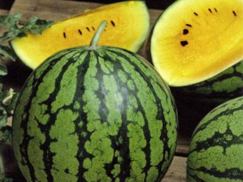 Organic Baby Doll Watermelon Seeds - 25+ Non-GMO Heirloom Seeds for Home Garden Planting | Perfect for Backyard Gardens, Containers & Fresh Summer Snacks