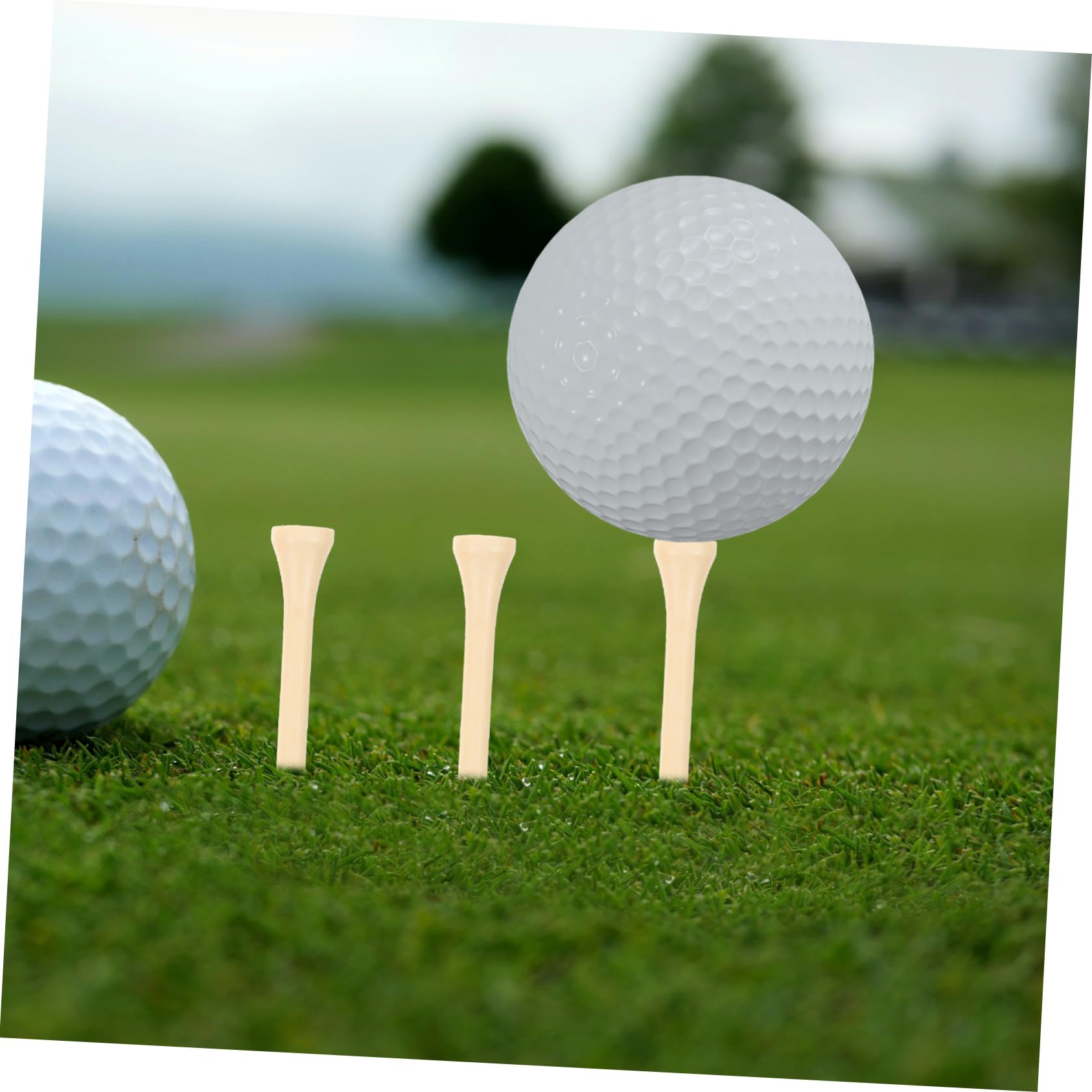 **BESPORTBLE Golf Ball Tee Holder – Durable Golf Tee Organizer with Storage Case – Perfect for Golf Bags, Carts & Practice Ranges**