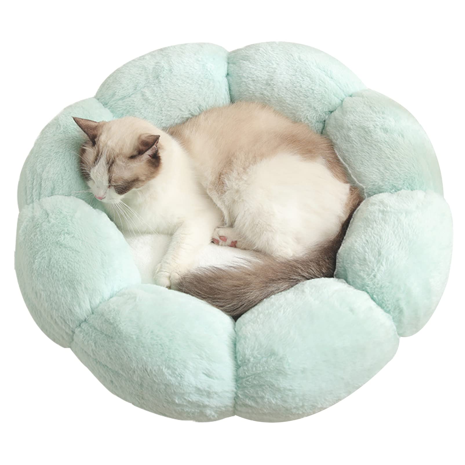 Cozy Plush Donut Pet Bed for Cats & Dogs - Warm Calming Anti-Anxiety Dog Bed & Flower Shape Cat Cushion in Green & White | Perfect for Anxiety Relief, Winter Warmth & Cozy Napping Spots
