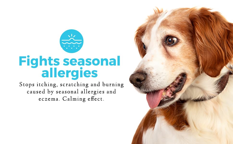 Pet Chef Respiratory Immune Support for Dogs | Allergy & Itch Relief | Hot Spot & Skin Rash Treatment | Boosts Immune Health | Ideal for Allergy-Prone Dogs & Multi-Pet Households